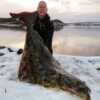 Big game fisherman with huge halibut