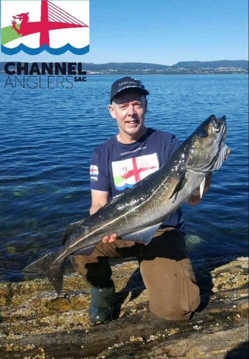 Steve Ace big pollock at Saltstraumen Brygge