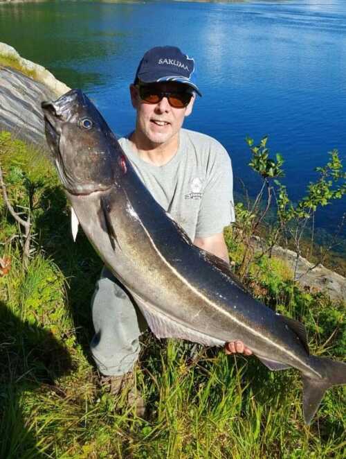 Fisherman with big pollock cought from shore