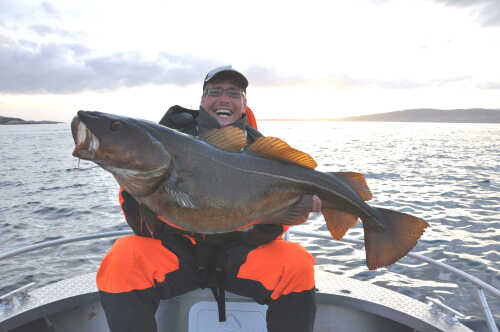 Happy fisher with big cod onboard